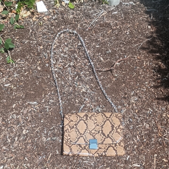 Zara Handbags - Zara Crossbody Snakeskin Pattern Chain Purse. No Call Outs. Amazing Bag!